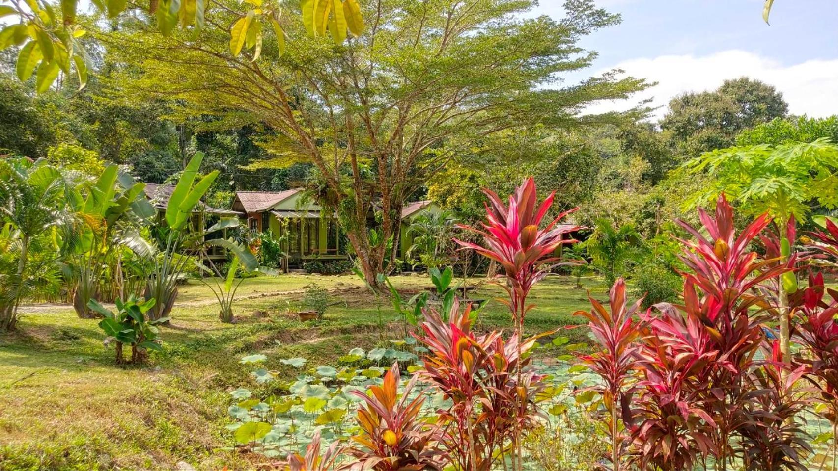 Baan Bua Cottage Sha Extra Plus B5510 Ko Kut Exteriör bild