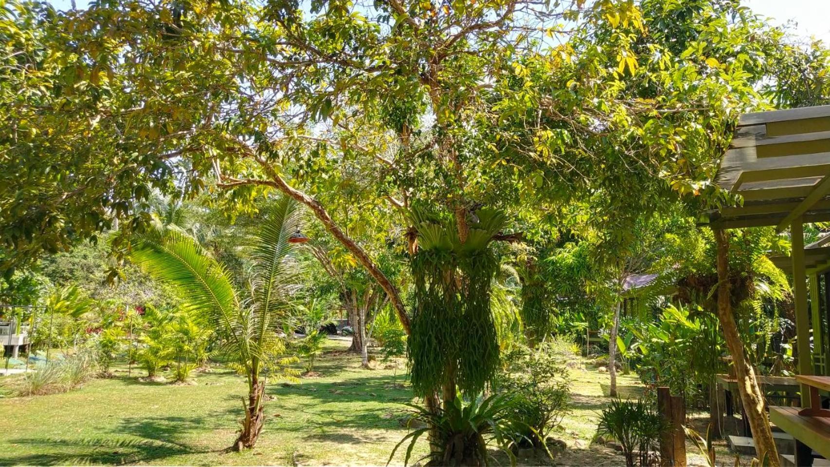 Baan Bua Cottage Sha Extra Plus B5510 Ko Kut Exteriör bild